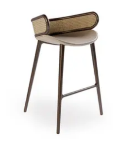 Cane-Stool